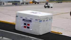 241410265_363669488503966_1030729787183748890_n