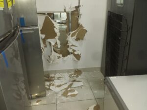 266742753_447621260142103_8696304744294979701_n