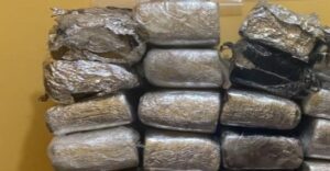 pacas-06591eca-focus-0-0-546-350