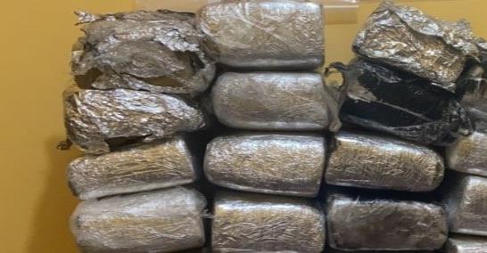 pacas-06591eca-focus-0-0-546-350