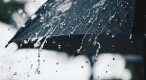 Captura-de-pantalla-2024-05-29-074358