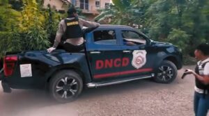 Miembros-de-la-DNCD-mientras-trasladaban-las-matas-de-marihuana-detectadas-en-la-azotea-de-una-vivienda