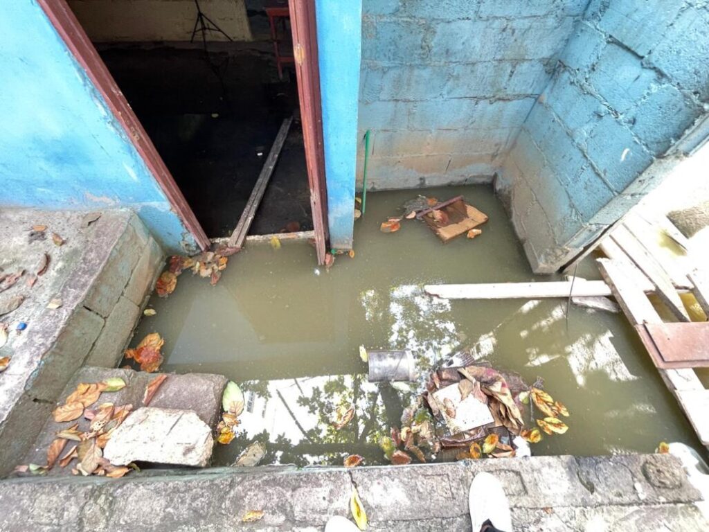 WhatsApp-Image-2024-09-26-at-3.06.19-PM