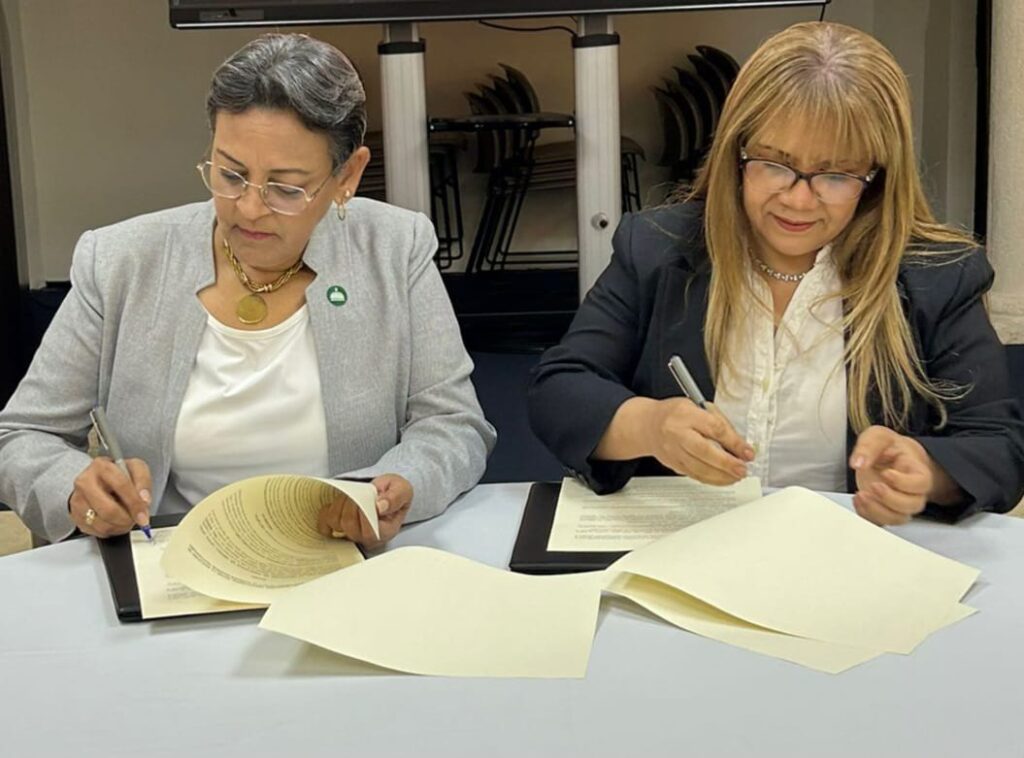 WhatsApp-Image-2024-10-10-at-10.36.30-AM