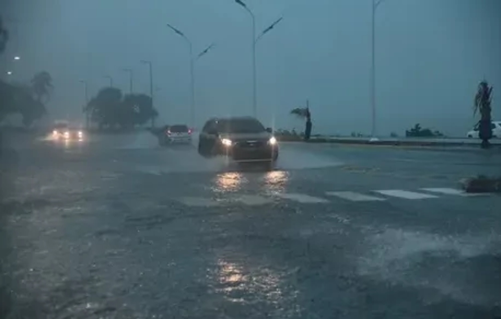 Captura-de-pantalla-2024-09-03-130529