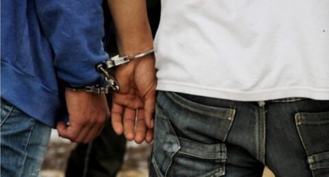 img_1909-1-480x258-1