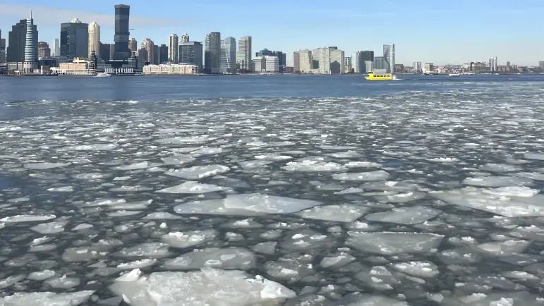 image_650x434_17377393073009