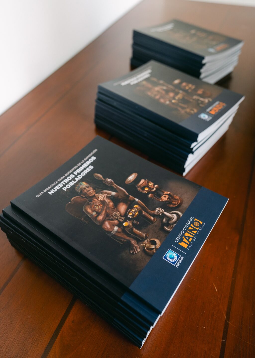 ISM02903 La herramienta pedagógica está diseñada para acompañar la labor educativa del profesorado.