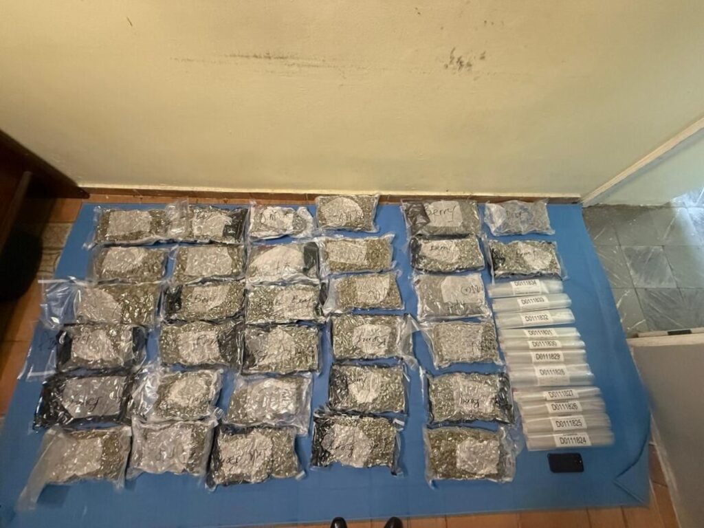 WhatsApp-Image-2025-03-11-at-10.31.29-AM