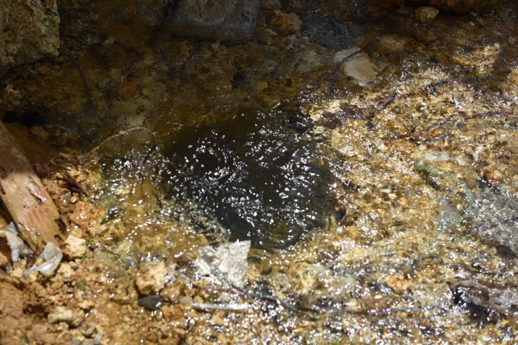 Imagen de WhatsApp 2025-05-19 a las 15.35.46_0f629d8c