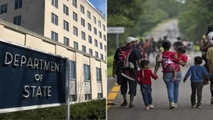 Diseno-sin-titulo-73