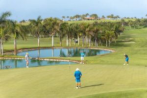 Golf-3-900x600